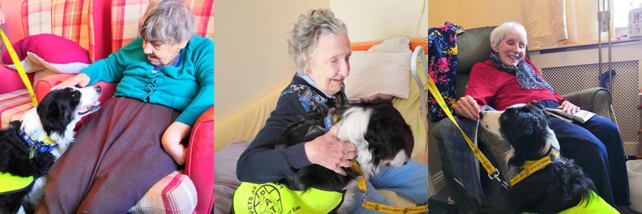 April Newsletter Chelsea the PAT dog