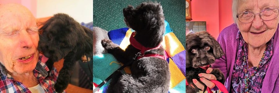 April Newsletter Visitors