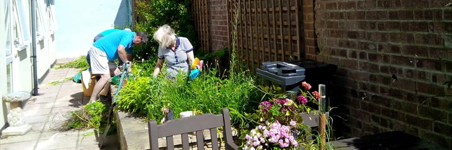 Primrose Weymouth - Gardening