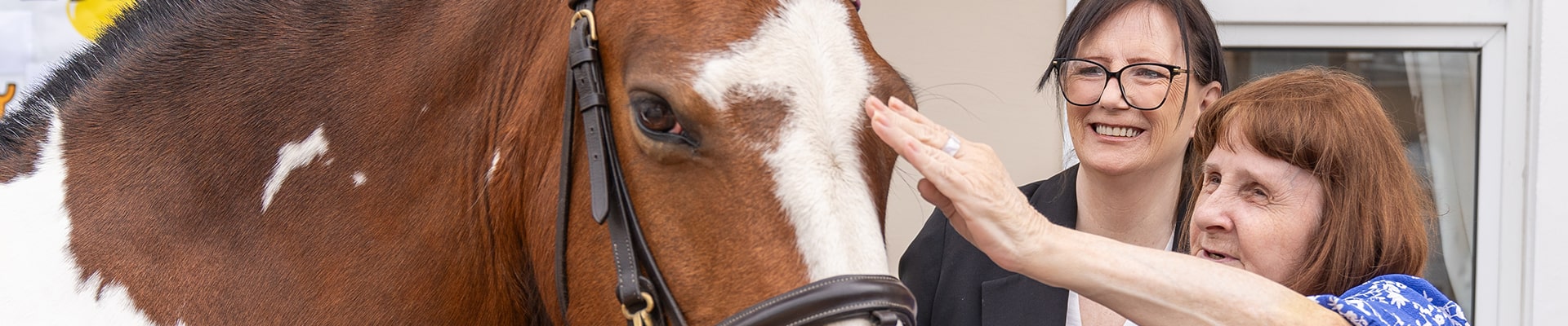 Horse at a Care Home